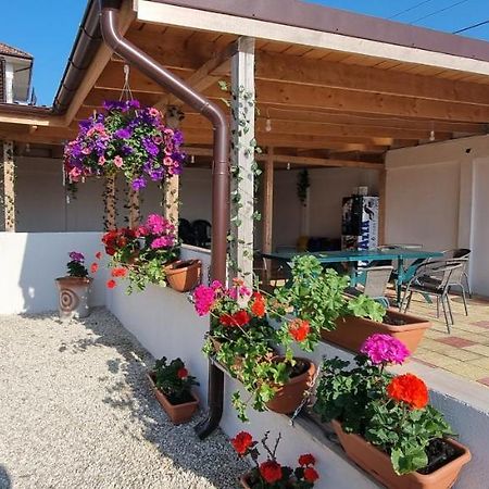 Soliday Apartment Vama Veche Bagian luar foto